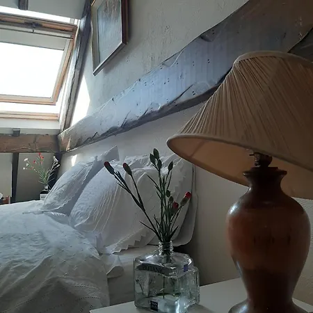 Apartment Cozy In 60 M² View