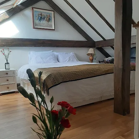 Cozy In 60 M² View *