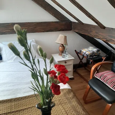 Cozy In 60 M² View